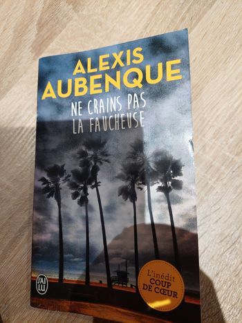 livre alexis aubenque