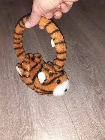 cache oreille enfant tigre