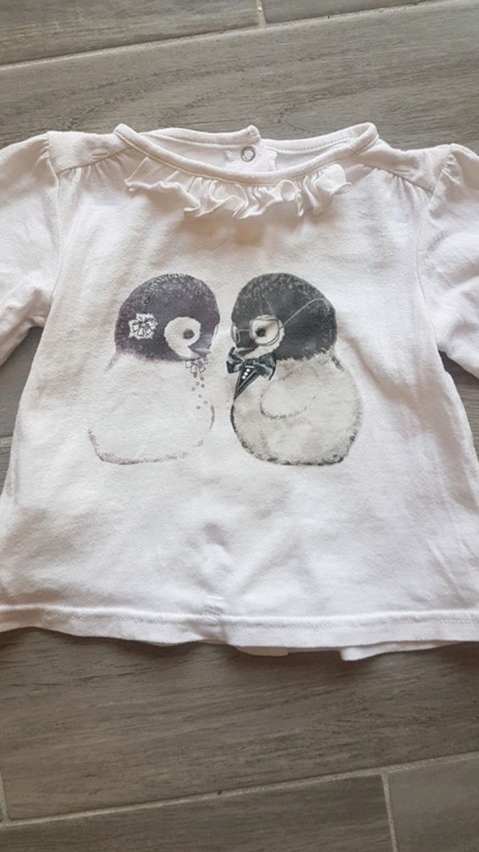 T shirt Pingouin TAO 9 Mois - photo numéro 2