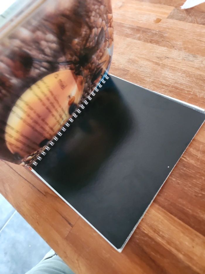 Livre : j'explore le désert - photo numéro 5