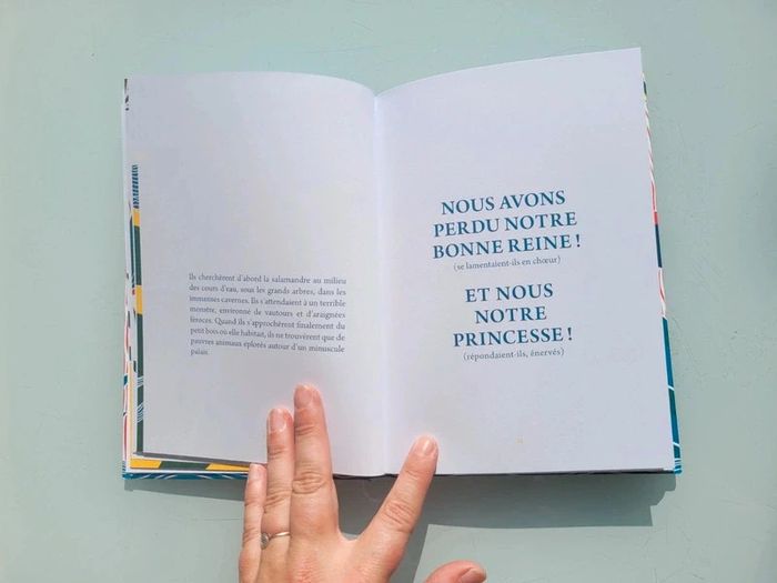 La Salamandre et le bouchon de champagne, éditions Le Tripode (62) - photo numéro 6