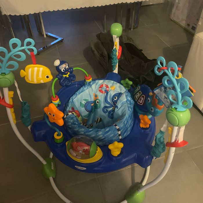 Baby Einstein - photo numéro 3