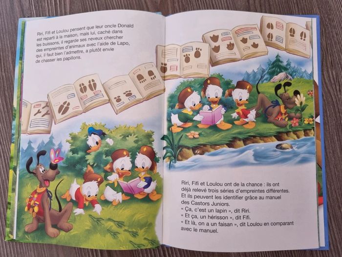 Les castors juniors à l'aventure - photo numéro 2