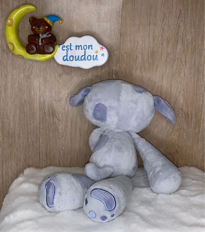 TCF04 doudou chien 🐶 tout compte fait - photo numéro 2