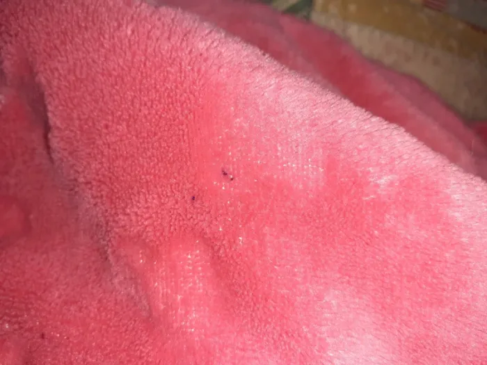 Robe de chambre - photo numéro 2