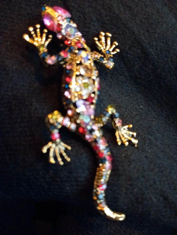 Idée cadeau 🎁: Broche en forme d'iguane - photo numéro 2
