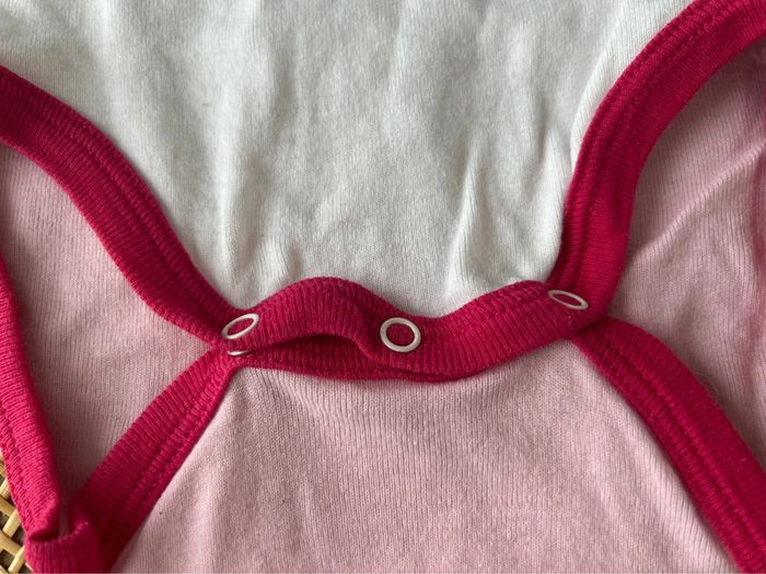 Bodie 18 mois - photo numéro 3