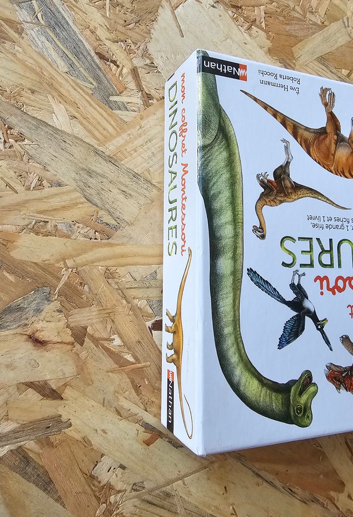 Mon coffret Montessori Dinosaures - photo numéro 3