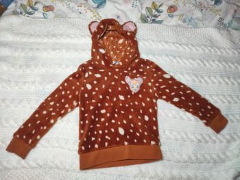 Pull Bambi 4 ans zeeman