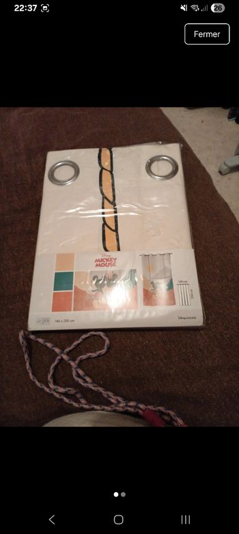 Rideau Mickey minnie 140x250