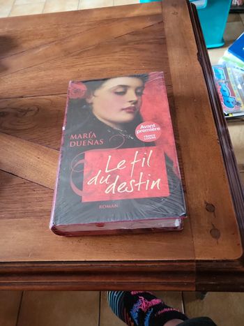 Livre le fil du destin Maria Duenas