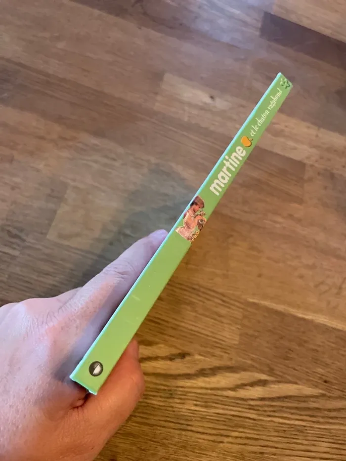 Livre Martine et le chaton vagabond - photo numéro 2