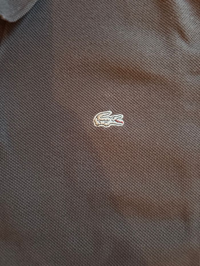 T shirt Lacoste - photo numéro 2