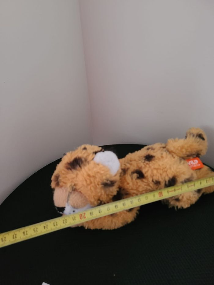 mini guépard - photo numéro 3