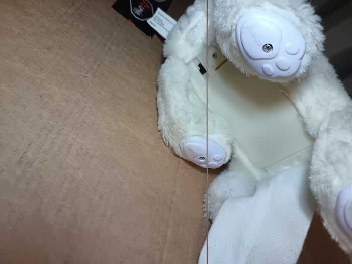 Chien à pile - photo numéro 4