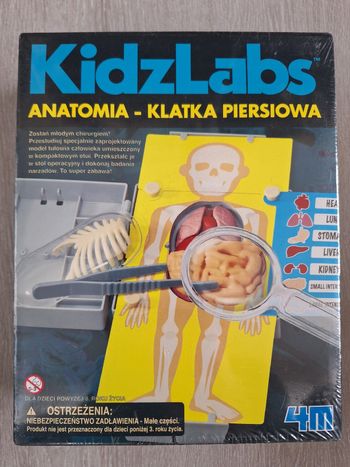 Kidzlabs anatomie du corps humain