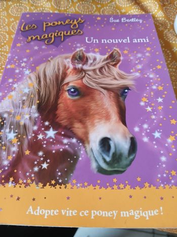 Les poneys magique tome 1
