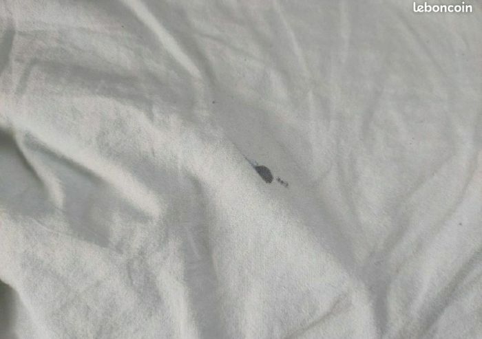 Coussin d'allaitement - photo numéro 3