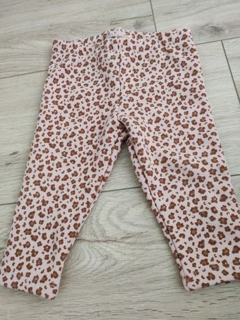 Legging sergent major