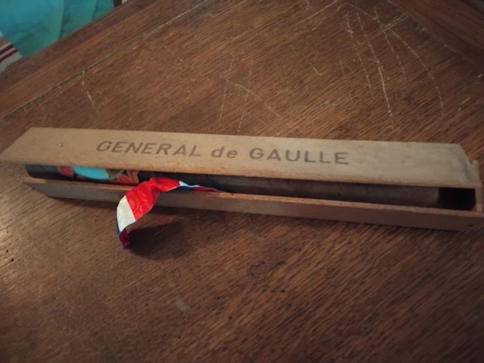 De gaules - photo numéro 2