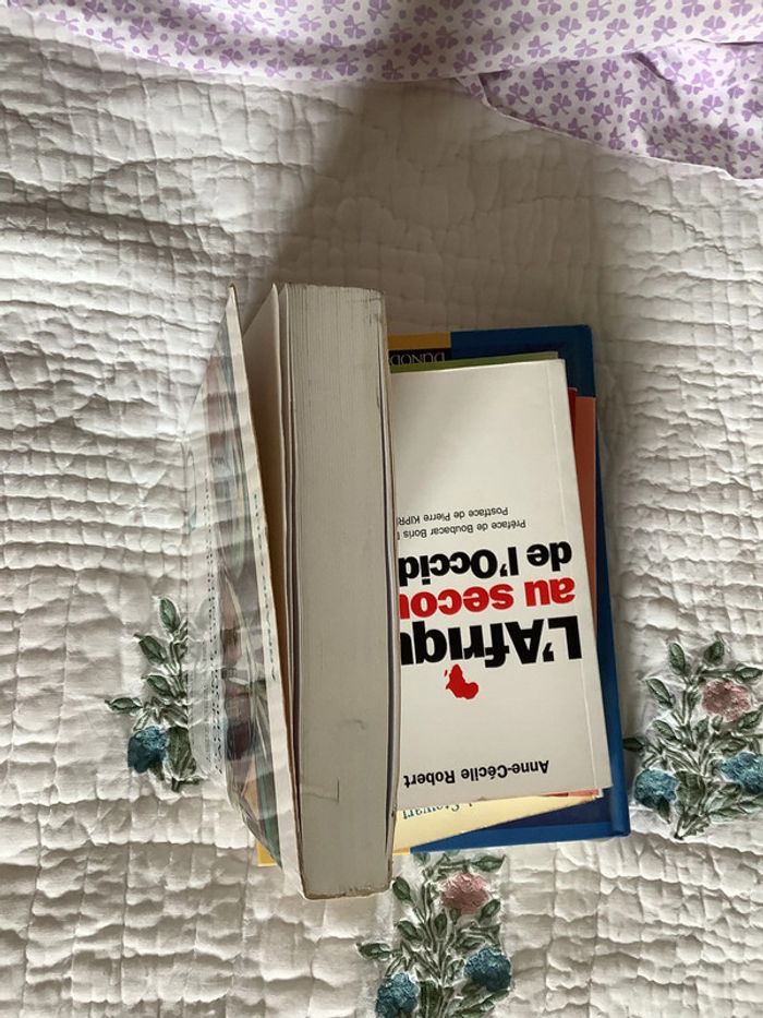 Économie politique de l’Afrique contemporaine - photo numéro 11