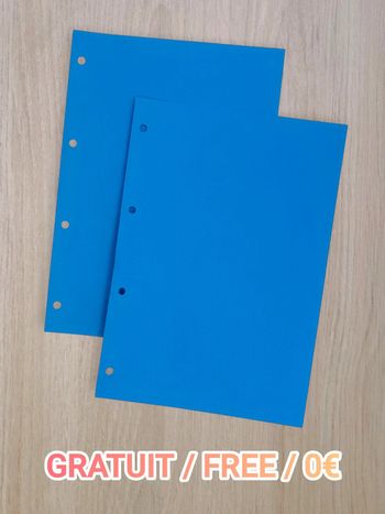 Lot 2 intercalaires bleu - A4 / Gratuit - Free