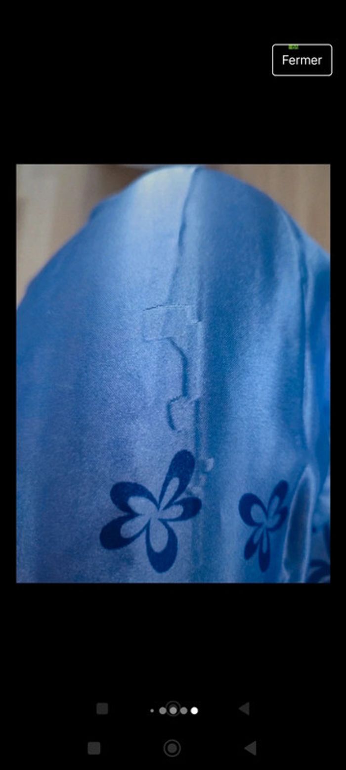 Déguisement Raiponce Eurodisney - photo numéro 6