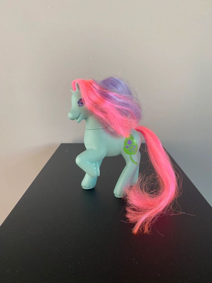 Pony ivy