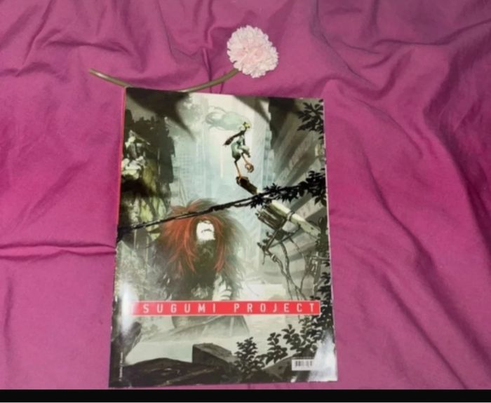 Sugumi project - photo numéro 2
