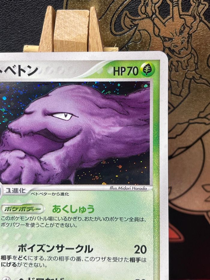 Grotardmorv Holo bloc Ex mirage Forest - photo numéro 4