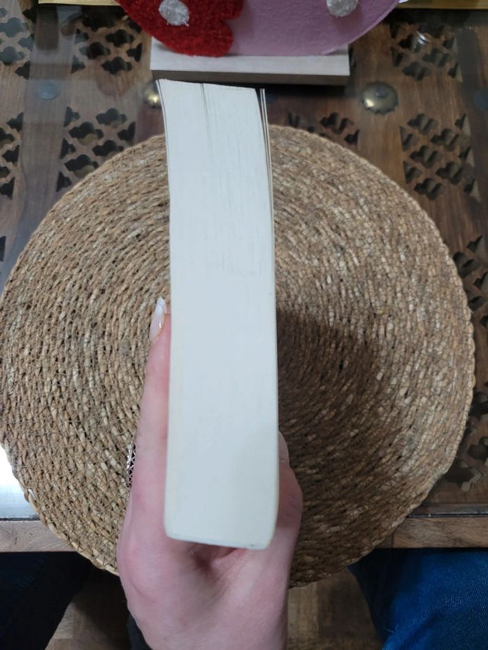 Le jour où Anita envoya tout balader. - photo numéro 7