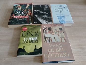  Lot de 5 livres, romans,(27)(Charlotte Link ect.)