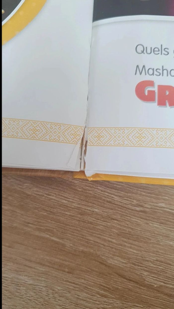 Livre masha et michka - photo numéro 7