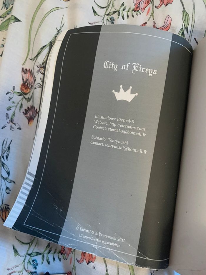 City of Fireya - photo numéro 5