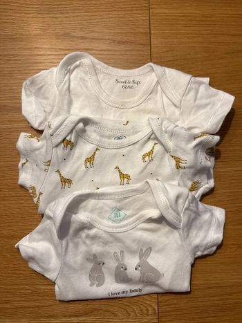 Lot 3 bodies manches courtes 6 mois