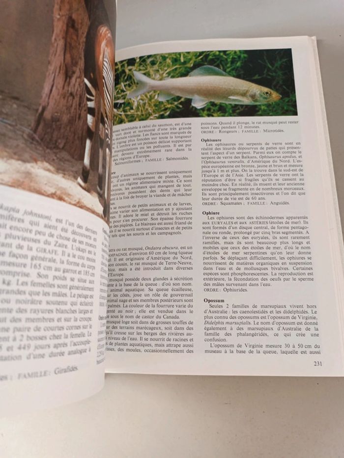 La nouvelle encyclopédie des animaux France loisirs édition 1980 - photo numéro 10