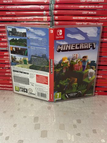 Minecraft switch