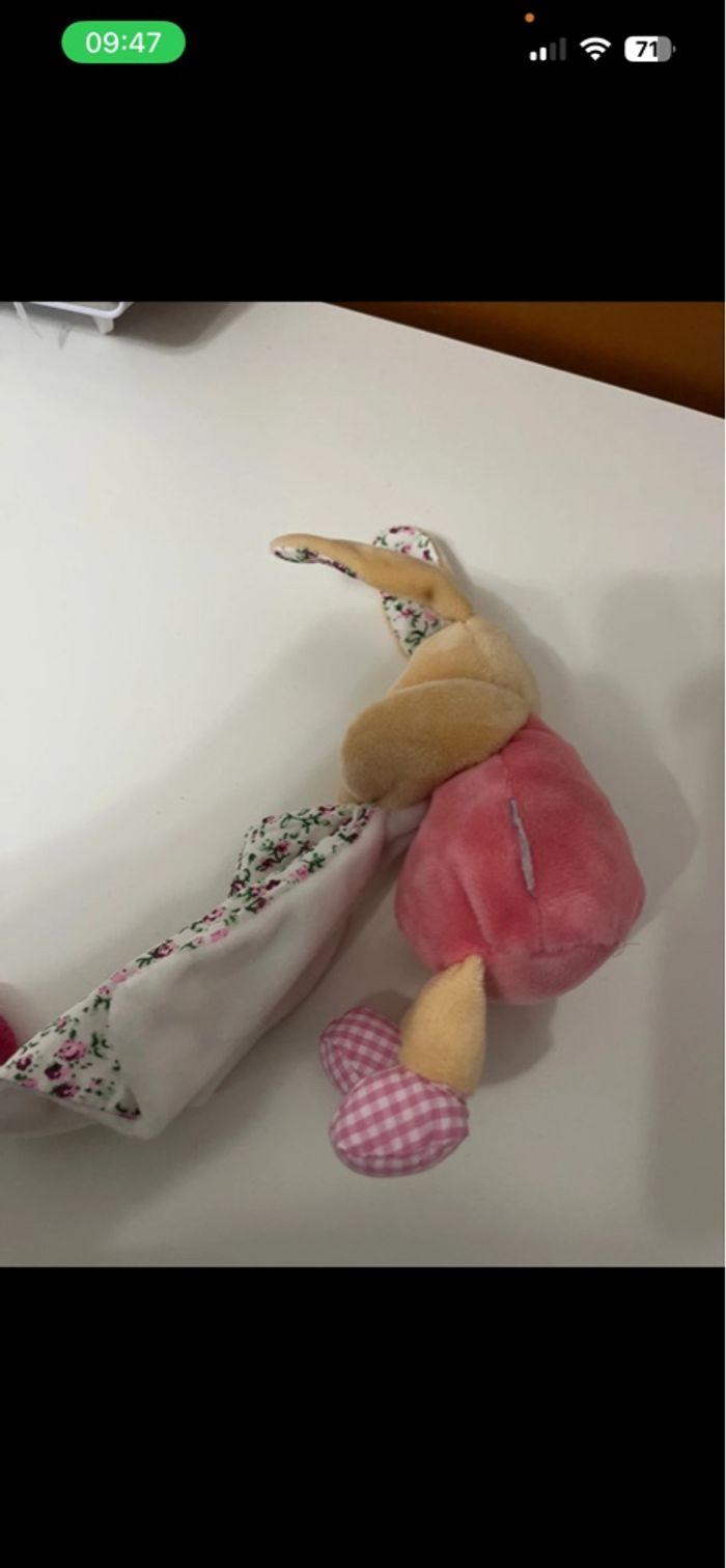 Doudou - photo numéro 3