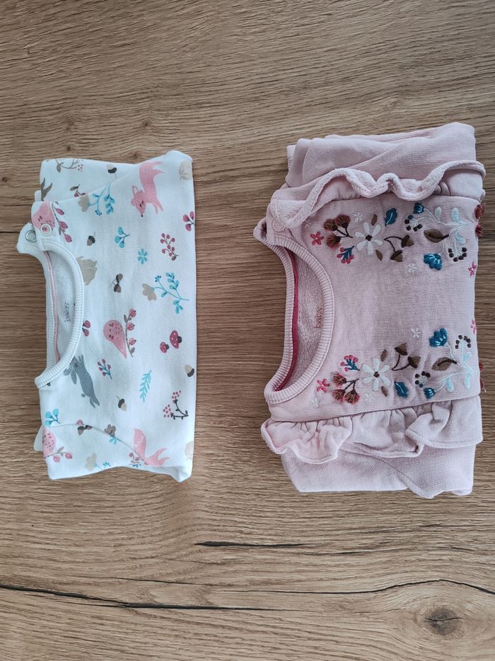 Lot de 2 sweats bébé fille 3 mois