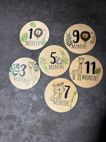 Cartes étapes bébé thème safari/savane/jungle