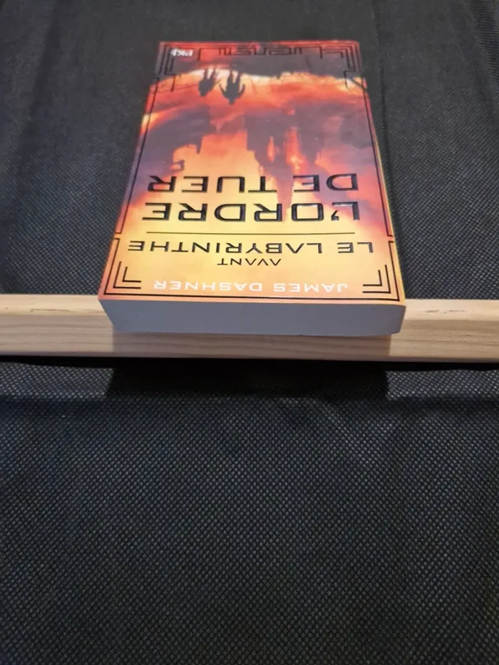 Avant Le labyrinthe - L'ordre de tuer Tome 4 - James Dashner - photo numéro 4