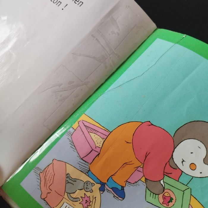 Livre enfant Nathan T'choupi veut un chaton - photo numéro 4