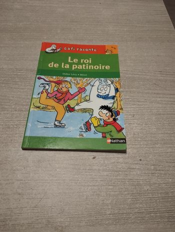 Livre Gafi