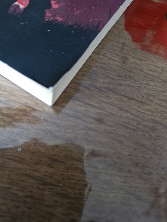 J'ai pensé à vous tous les jours (dès 11 ans) - photo numéro 7
