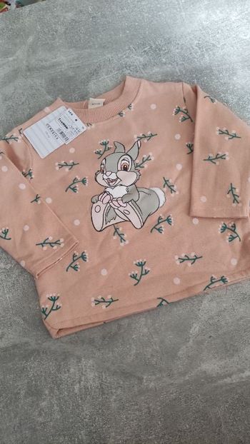 Sweat bébé fille 6 9 mois panpan