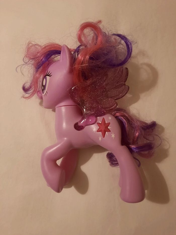 Petit Poney - photo numéro 3