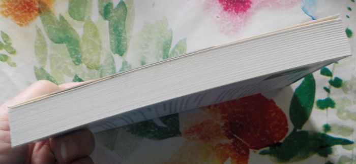 L'ANGE DE GROIX de Françoise LE MER Ed. Palémon - photo numéro 5