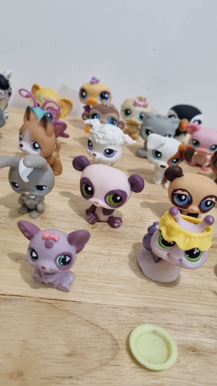 Lot de 22 petshops Hasbro + accessoires - photo numéro 3