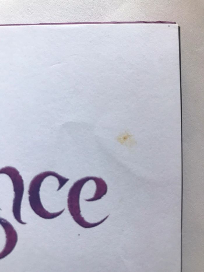 Livre Raiponce - photo numéro 3