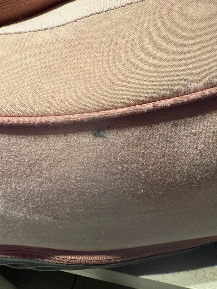 Doomoo - photo numéro 4